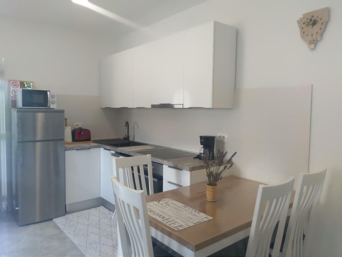 Apartment Ivana Novigrad Istria Dış mekan fotoğraf