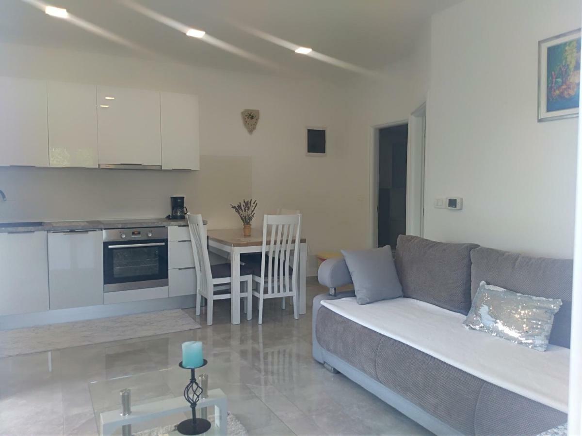 Apartment Ivana Novigrad Istria Dış mekan fotoğraf