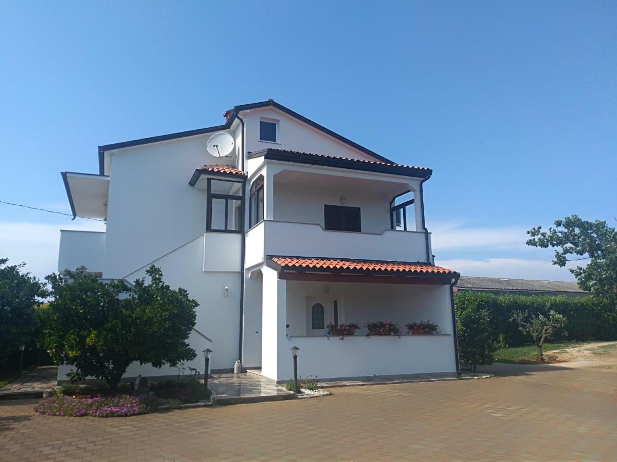 Apartment Ivana Novigrad Istria Dış mekan fotoğraf