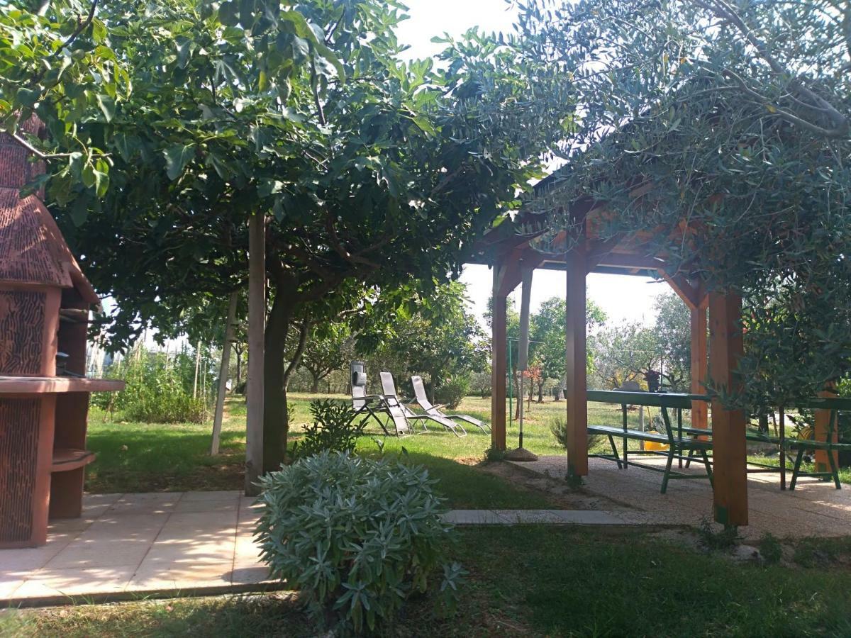 Apartment Ivana Novigrad Istria Dış mekan fotoğraf
