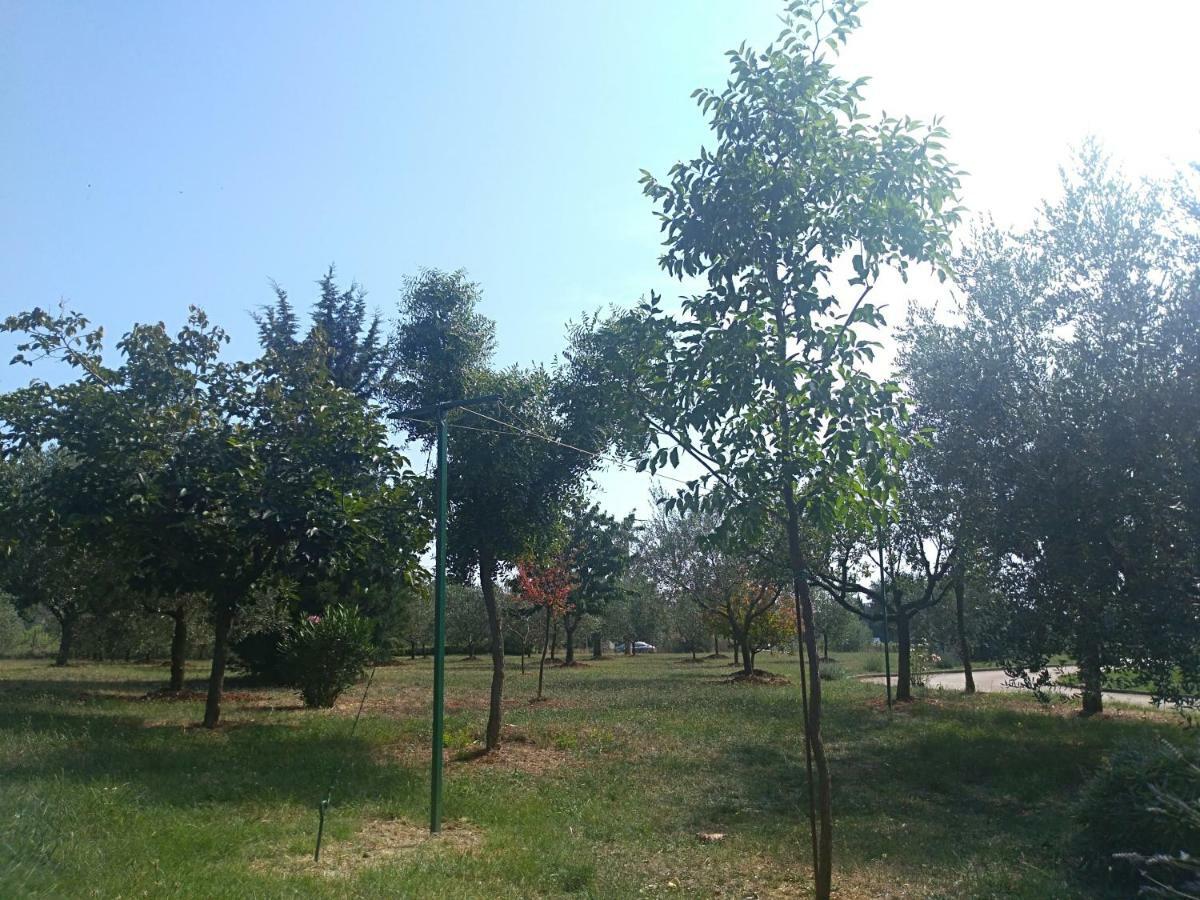 Apartment Ivana Novigrad Istria Dış mekan fotoğraf